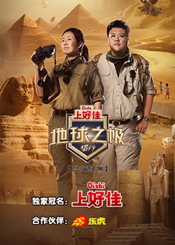 胰岛果的图片